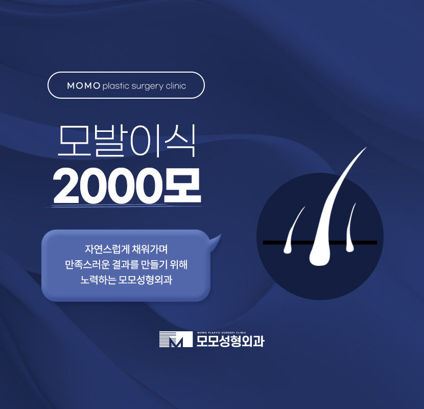 모발이식2000모 자연스럽게 채우는 방향으로 관련 이미지 1