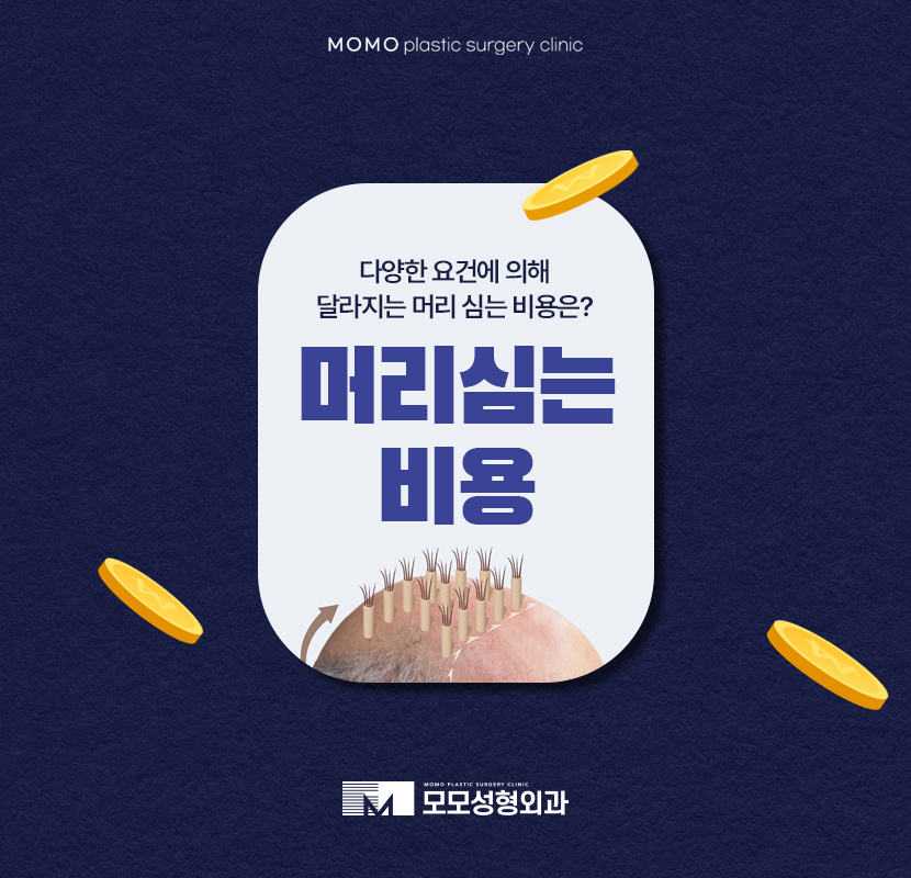 머리심는비용 현 상황에 따라 상이해 지는 관련 이미지 1