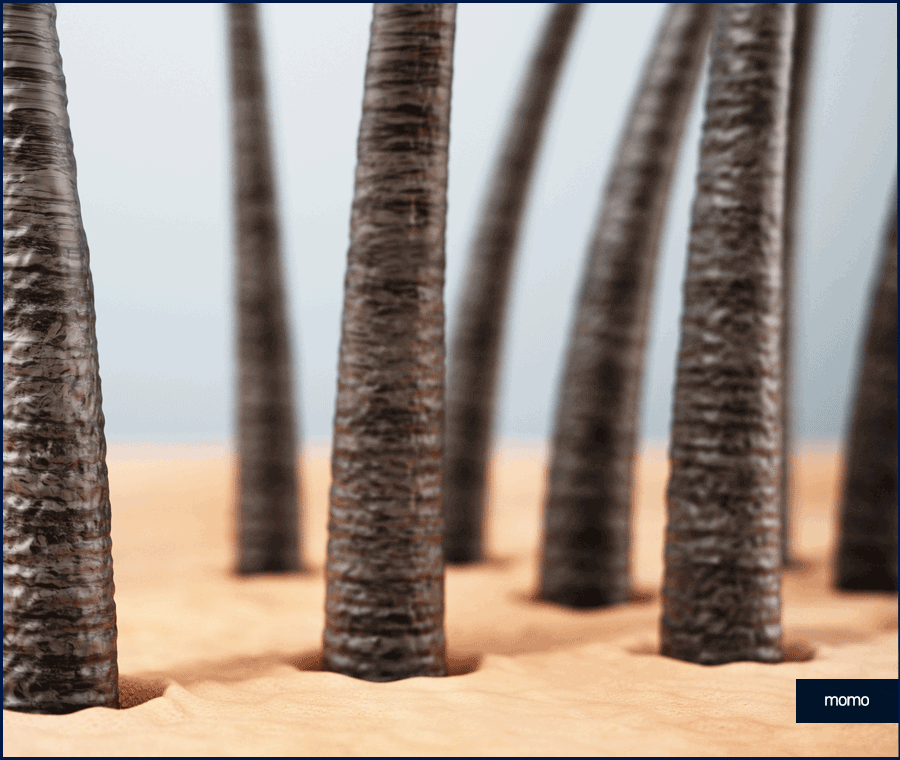 압구정 탈모병원 보완을 위한 최선책은? 관련 이미지 7