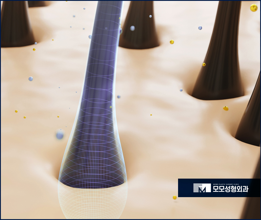 모발이식 암흑기를 이겨내기 위해 알아야 할 점 관련 이미지 7