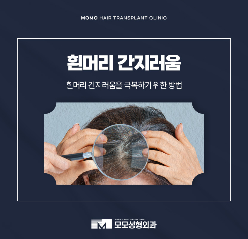 흰머리 간지러움 발생 요인부터 극복을 위해서는 관련 이미지 1