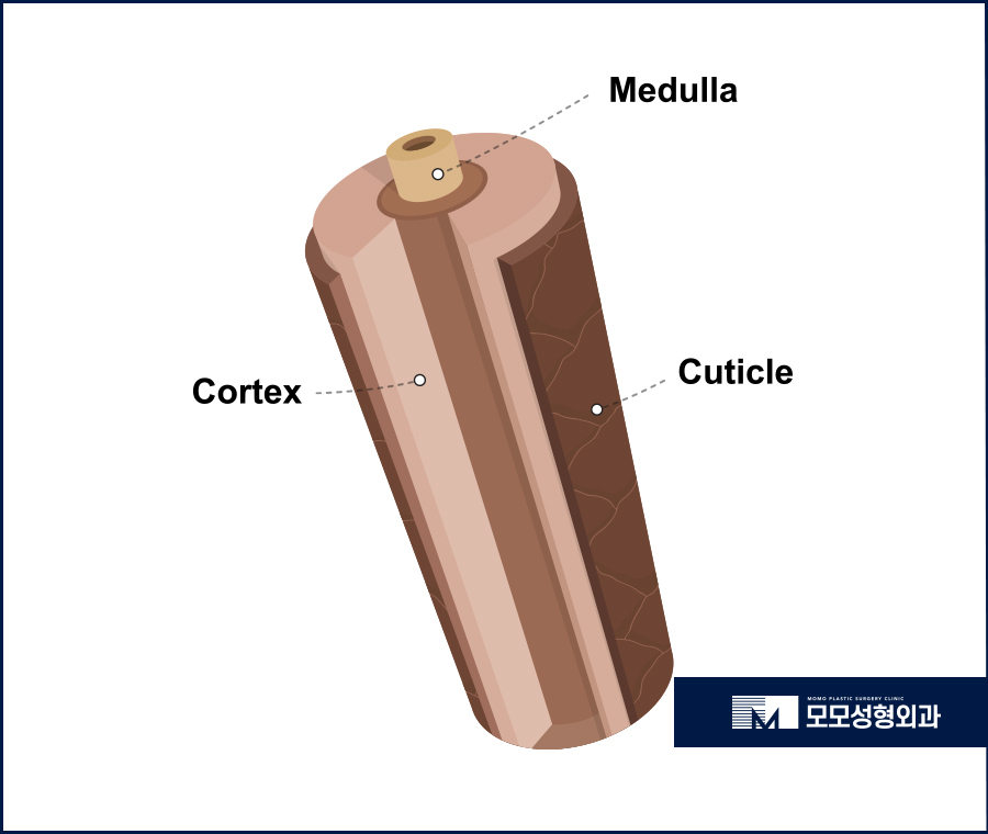 머리카락 끝 갈라짐 이유와 손상에 대처하는 방법까지 관련 이미지 3
