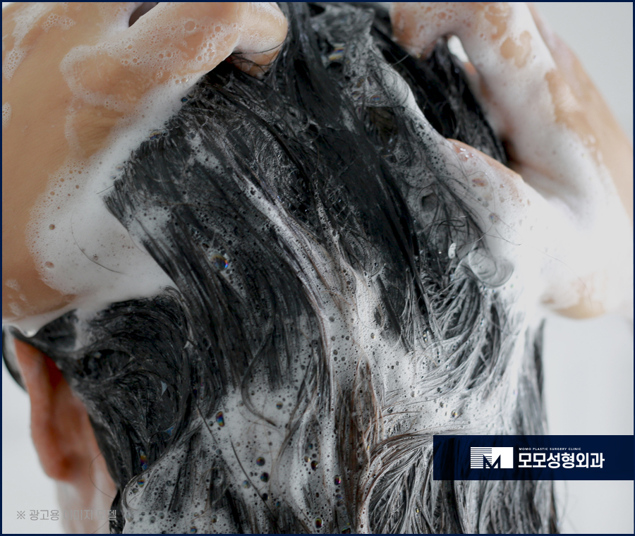 머리숱많아지는방법 효과를 기대하려면 관련 이미지 5