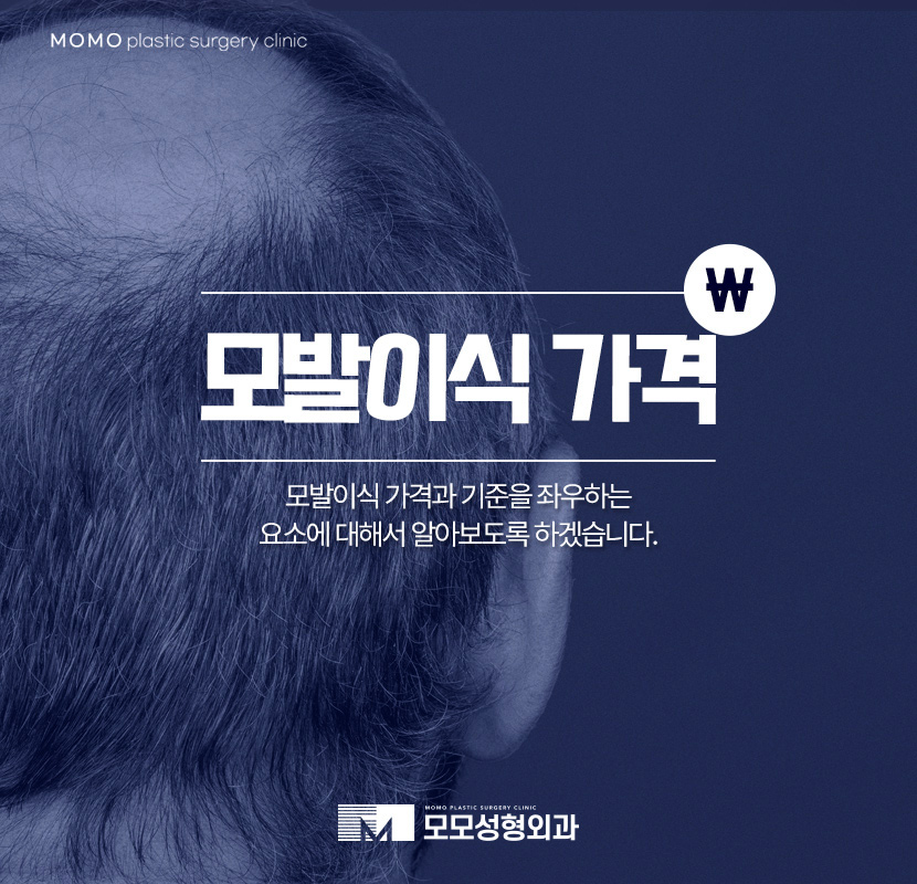 모발이식가격 산정되는 기준에 대해서 관련 이미지 1