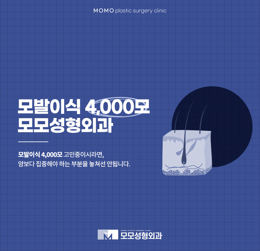 모발이식4000모 양보다 집중해야 하는 부분 관련 이미지 1
