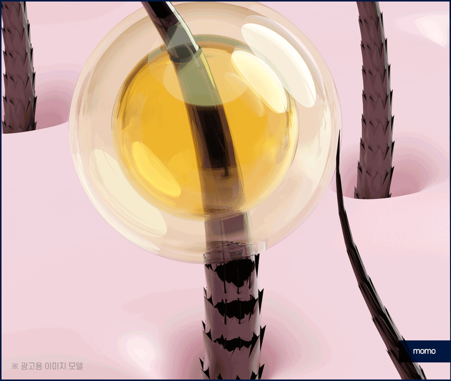 출산후 탈모 자연스럽게 보완하는 방법은 관련 이미지 8