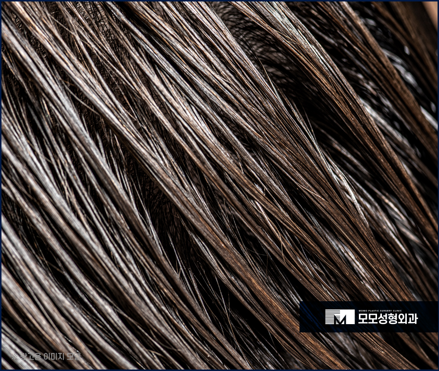 린스 트리트먼트 순서와 차이점을 알고 사용해야만 관련 이미지 9