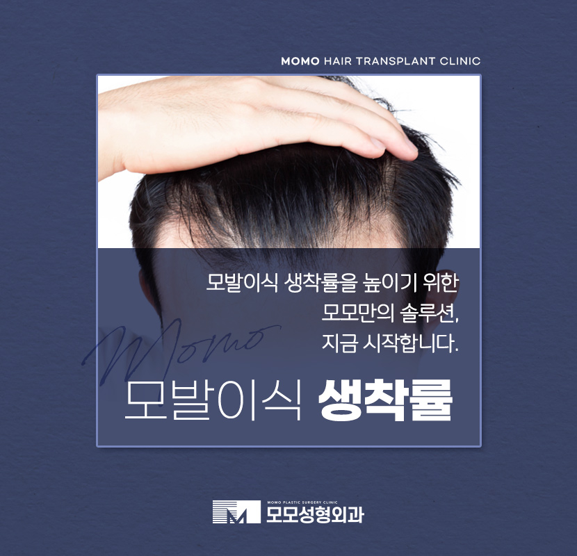 모발이식 생착률 높이기 위한 솔루션은 관련 이미지 1