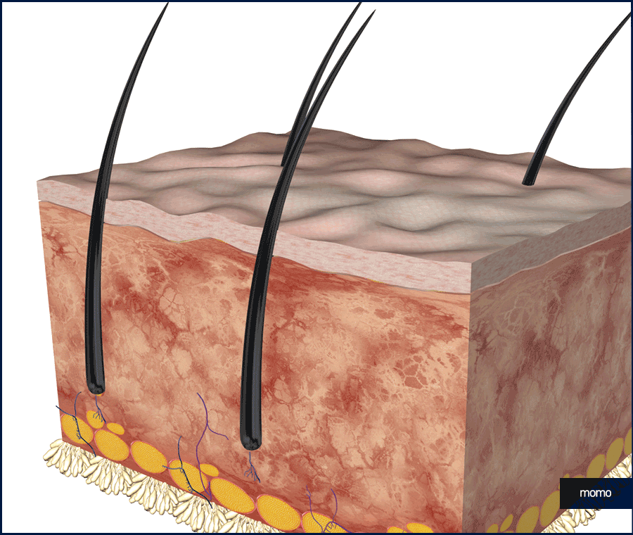 20대 탈모약 처방 및 복용 시 꼭 확인해야 할 점 관련 이미지 3