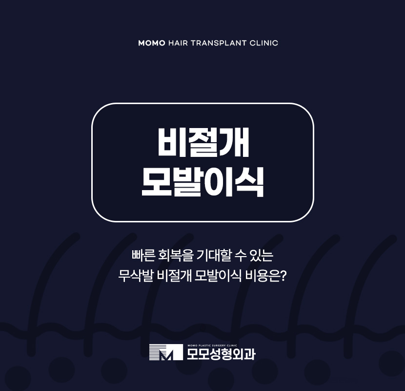 비절개 모발이식 비용 무삭발로 회복까지 빠르게 관련 이미지 1