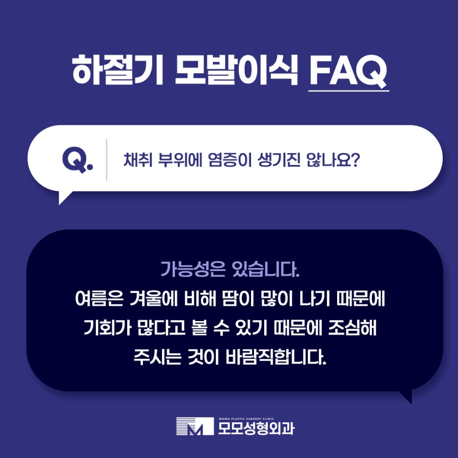 하절기 모발이식 FAQ 모모와 함께 알아보세요 관련 이미지 10