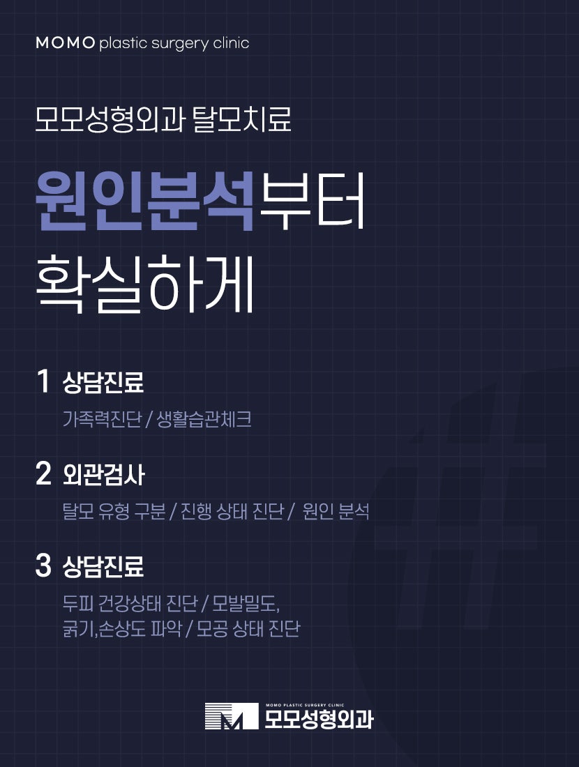 엠자이마 촘촘하게 채워 자연스럽게 보강하는 관련 이미지 7