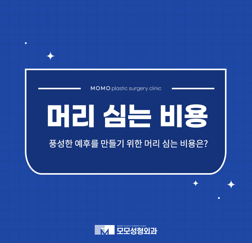 머리심는비용 풍성함에만 집중할 것이 아니라 관련 이미지 1