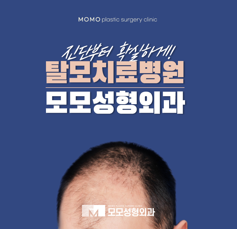 탈모치료병원 개인별 맞춤 진행을 통하여 관련 이미지 1