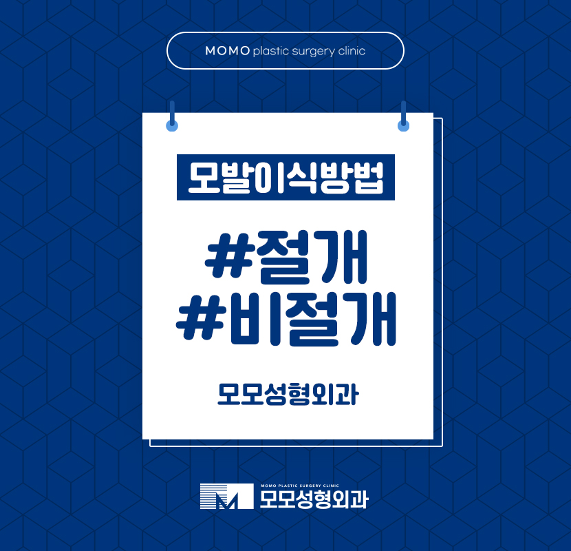 모발이식절개비절개 두 가지의 차이는 관련 이미지 1