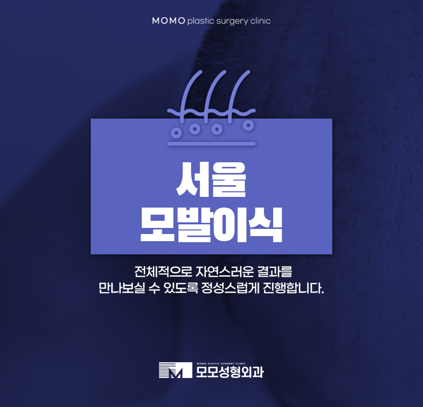 서울모발이식병원 전체적으로 자연스러운 관련 이미지 1