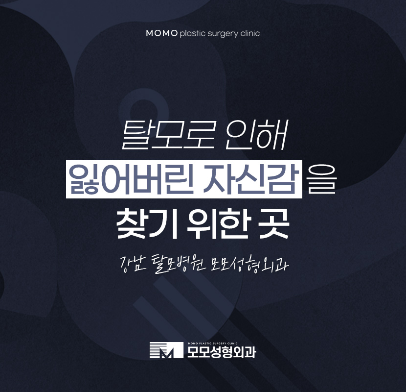 강남역탈모병원 풍성한 모습을 완성하기 위한 곳 관련 이미지 1