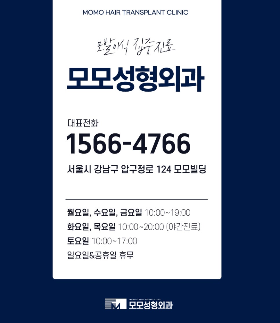 모발이식 6개월 차 변화와 유의할 점에 대해서 관련 이미지 14