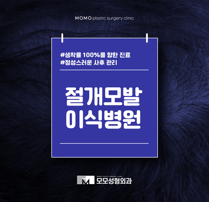 절개모발이식병원 생착률까지 생각해서 관련 이미지 1