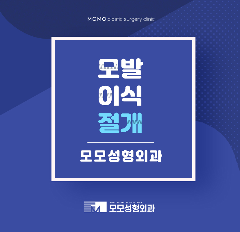 모발이식절개 적절한 기준을 세워야만 관련 이미지 1