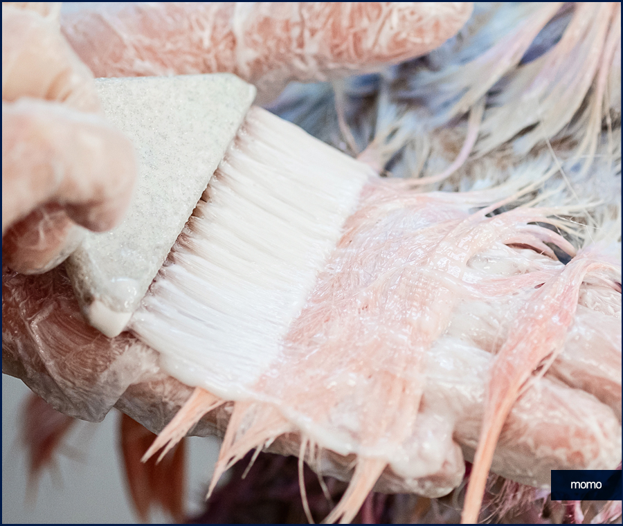 모발이식 후 염색 언제쯤 하는게 좋을까요 관련 이미지 4