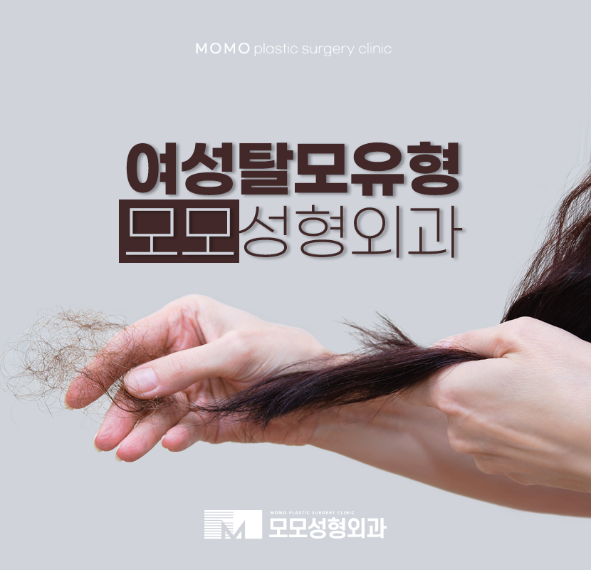 여성탈모유형 분석을 통한 처치를 관련 이미지 1