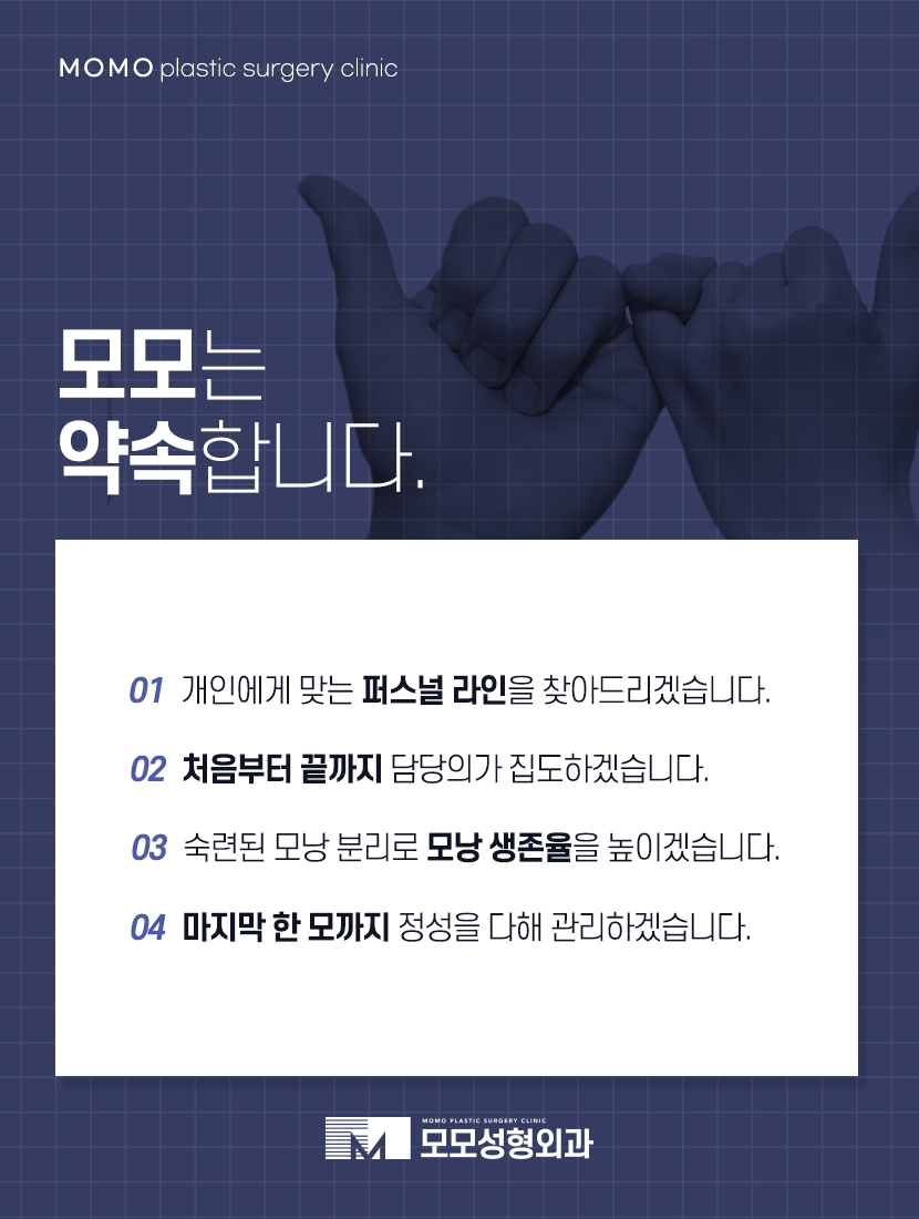 머리심는비용 풍성함에만 집중할 것이 아니라 관련 이미지 8