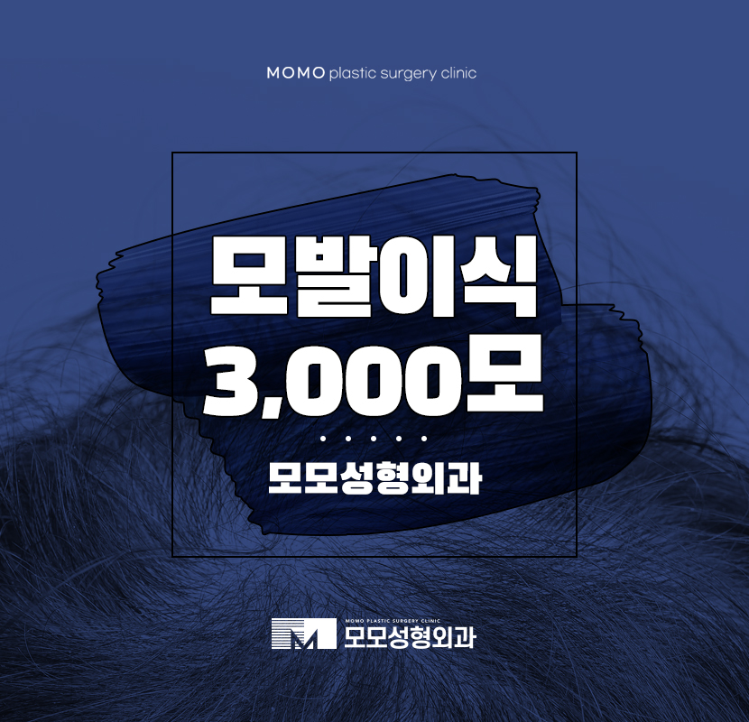 모발이식3000모 결정 짓는 것은 관련 이미지 1