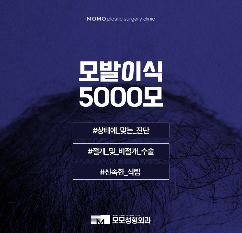 모발이식5000모 상태에 맞는 진단으로 관련 이미지 1