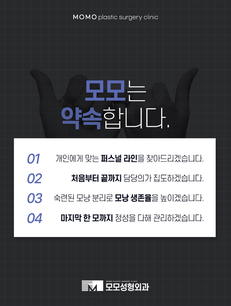 머리심기비용 방식에 따라 나뉘어지는 관련 이미지 8