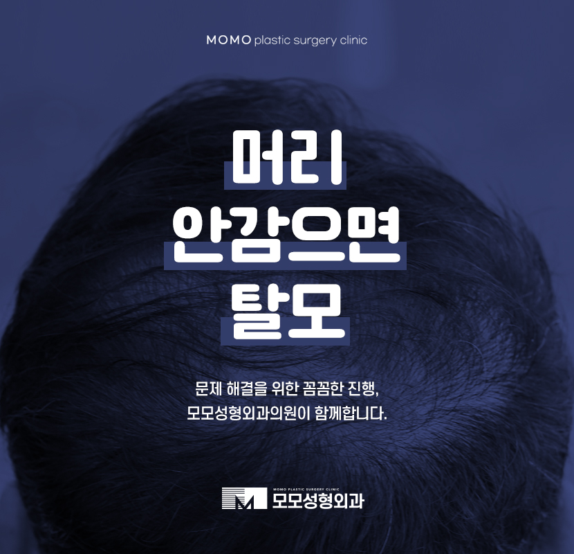 머리안감으면탈모 나타나게 될까 관련 이미지 1