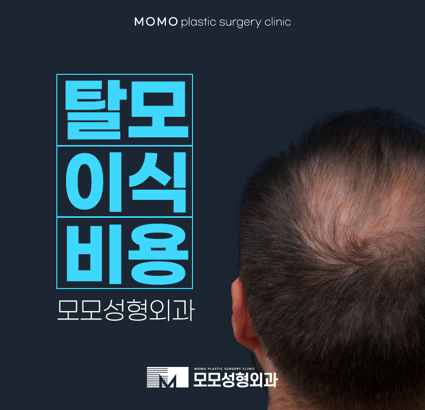 탈모이식비용 효율적인 방안으로 관련 이미지 1