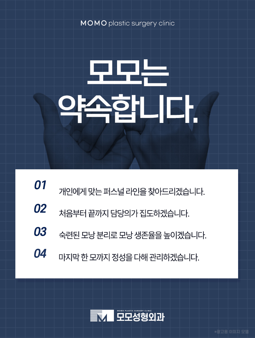 여자M자탈모 사전 예방법부터 발생 시 대처하는 방법 관련 이미지 7