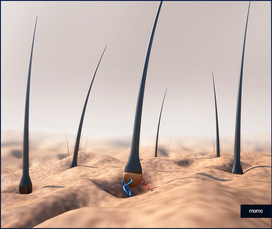 머리카락 얇아짐 발생하는 이유부터 회복 방안 관련 이미지 4