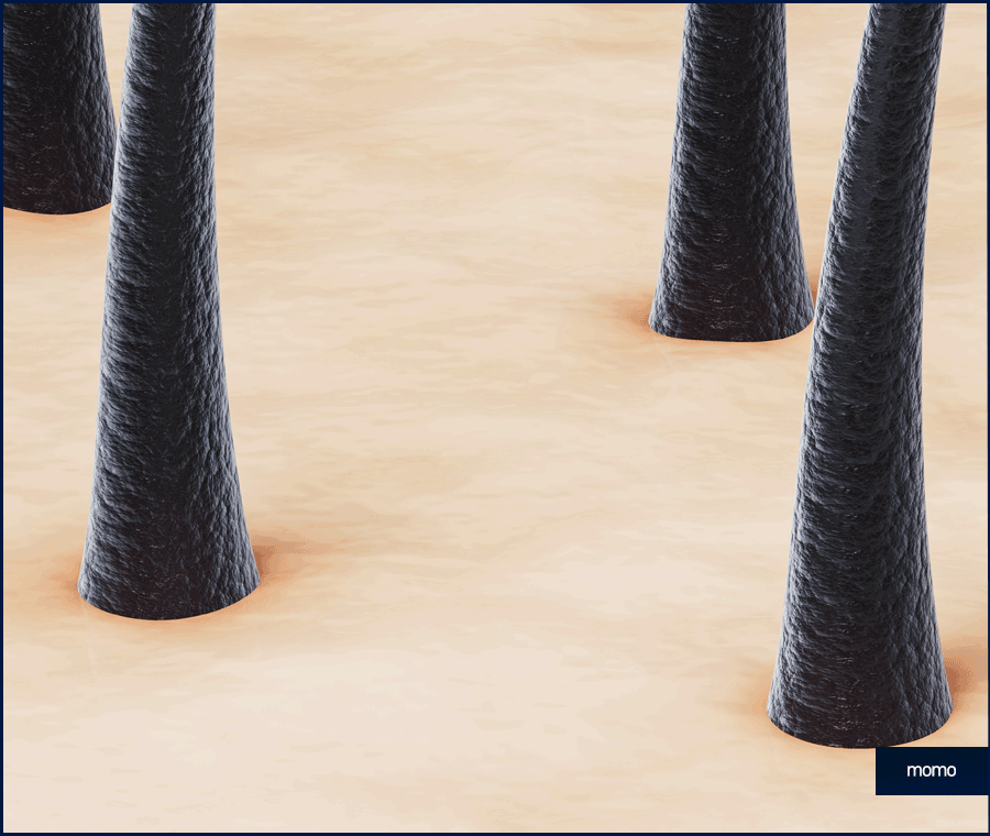 여자 정수리 탈모 초기 증상 및 머리카락빠짐 대응 방안 관련 이미지 2