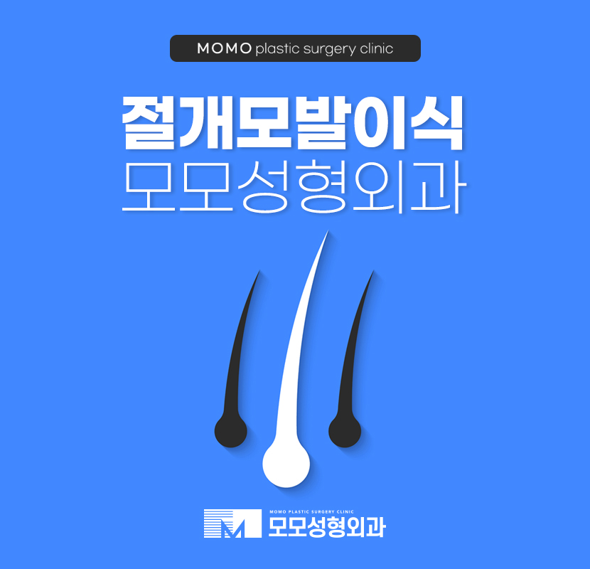 절개모발이식 생착을 높이도록 관련 이미지 1