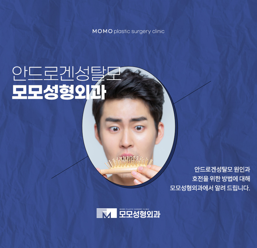 안드로겐성탈모 원인과 개선을 위한 방안은 관련 이미지 1