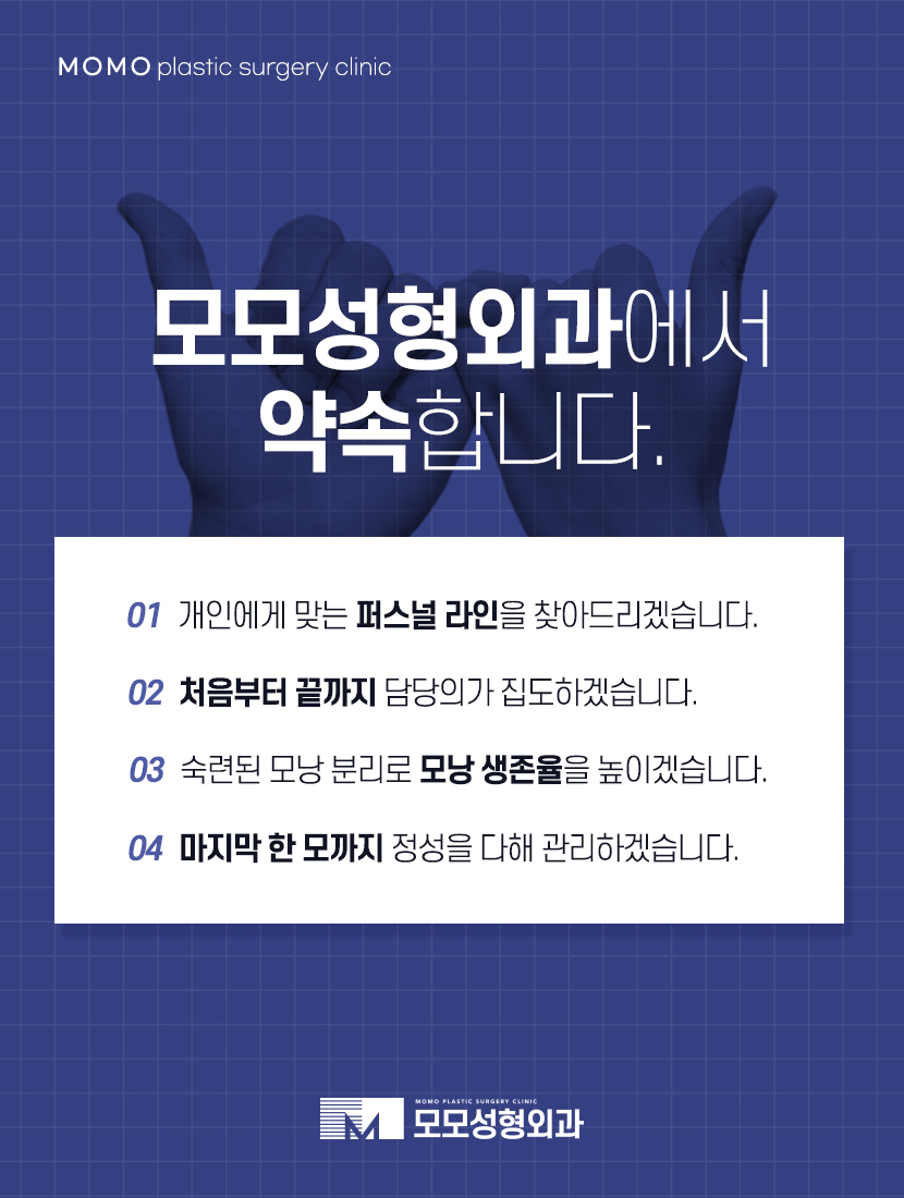 여성정수리모발이식 채워가고자 할 때에는 관련 이미지 6