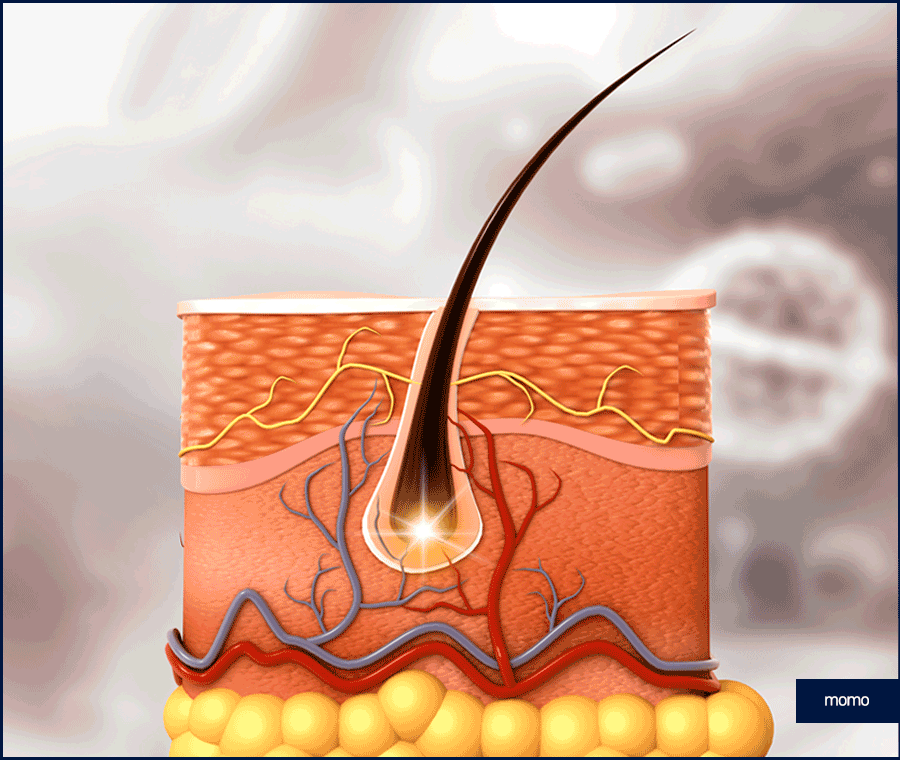 탈모 클리닉 비용의 기준이 되는 조건은? 관련 이미지 8