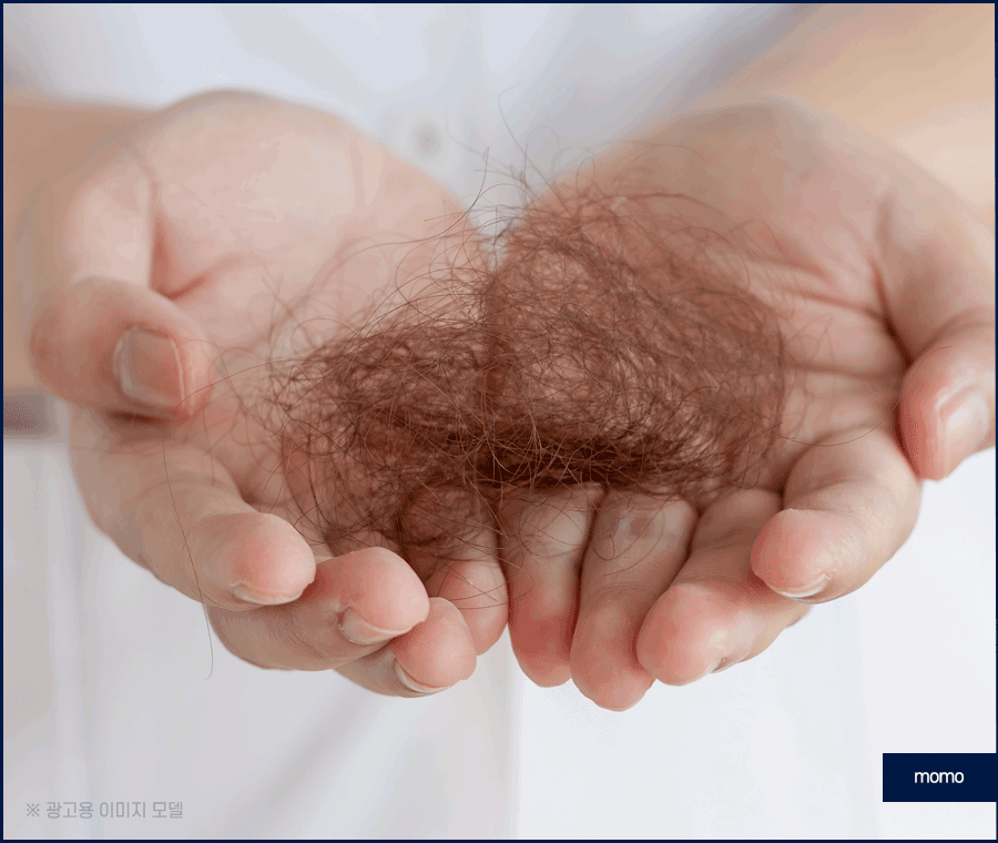 머리카락 자라는 속도 및 남녀별 차이점 관련 이미지 5