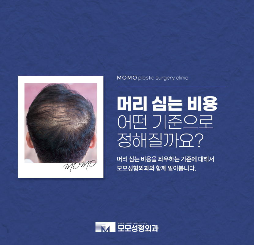 머리심기비용 방식에 따라 나뉘어지는 관련 이미지 1