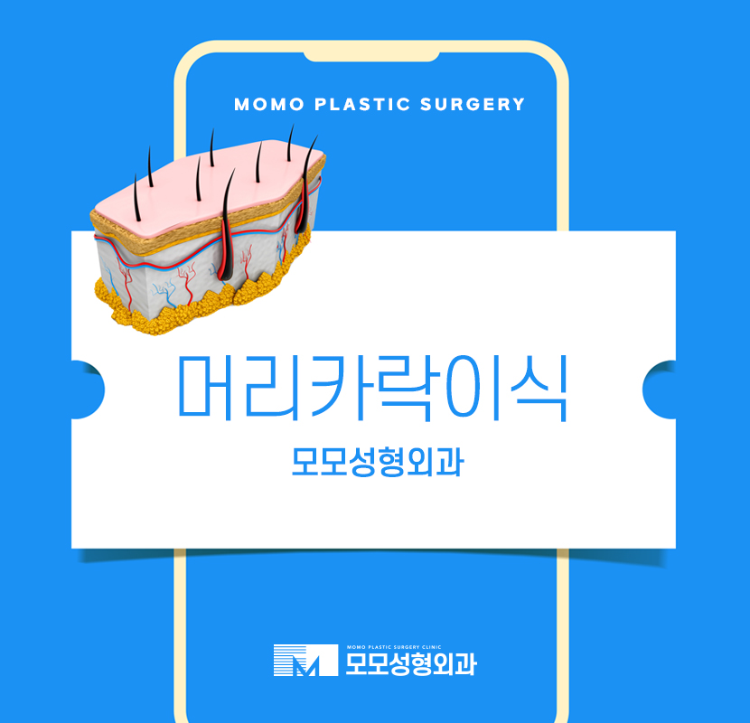 머리카락이식 풍족함을 되찾기 위한 관련 이미지 1