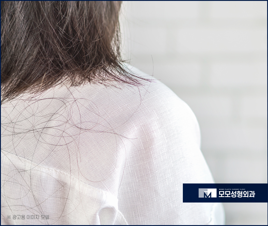 머리카락끊어짐 원인과 개선 방안 관련 이미지 3