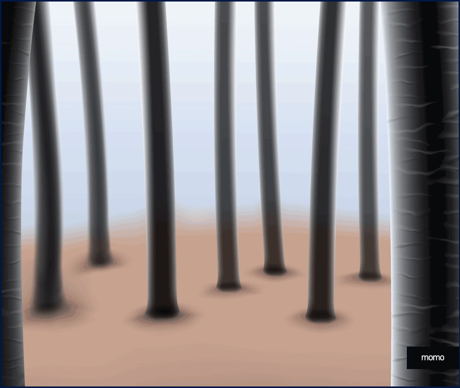 서울 탈모 성지 풍성함을 만들기 위한 방법 2가지 관련 이미지 7