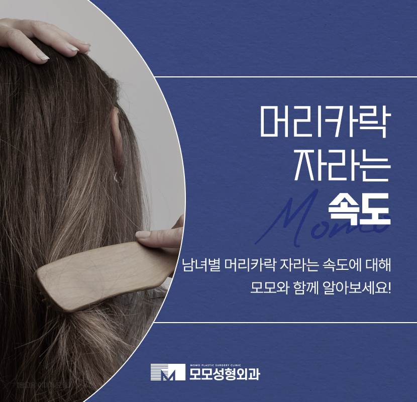 머리카락 자라는 속도 및 남녀별 차이점 관련 이미지 1