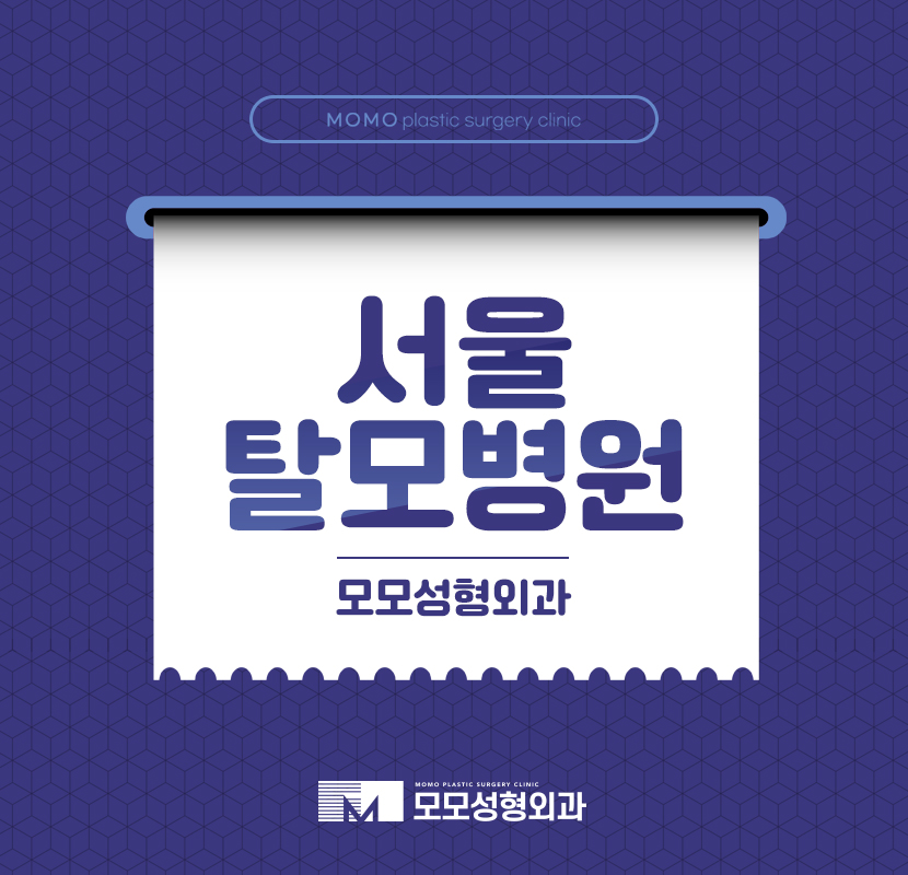 서울탈모병원 맞춤 진행이 가능하다면 관련 이미지 1