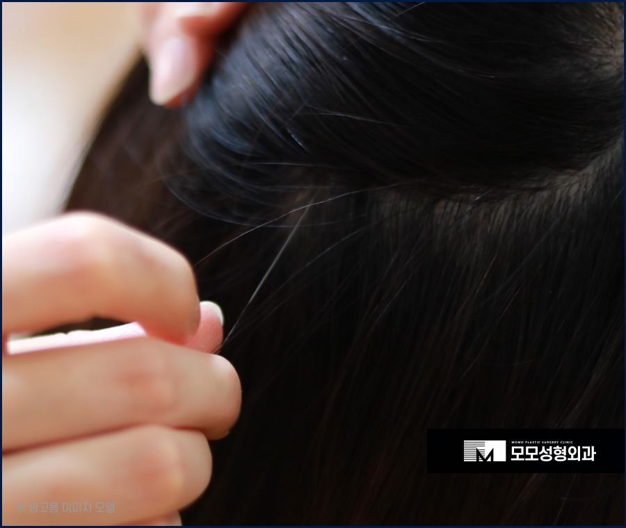 새치 흰머리 차이와 가볍게 잘라내야 하는 이유 관련 이미지 7