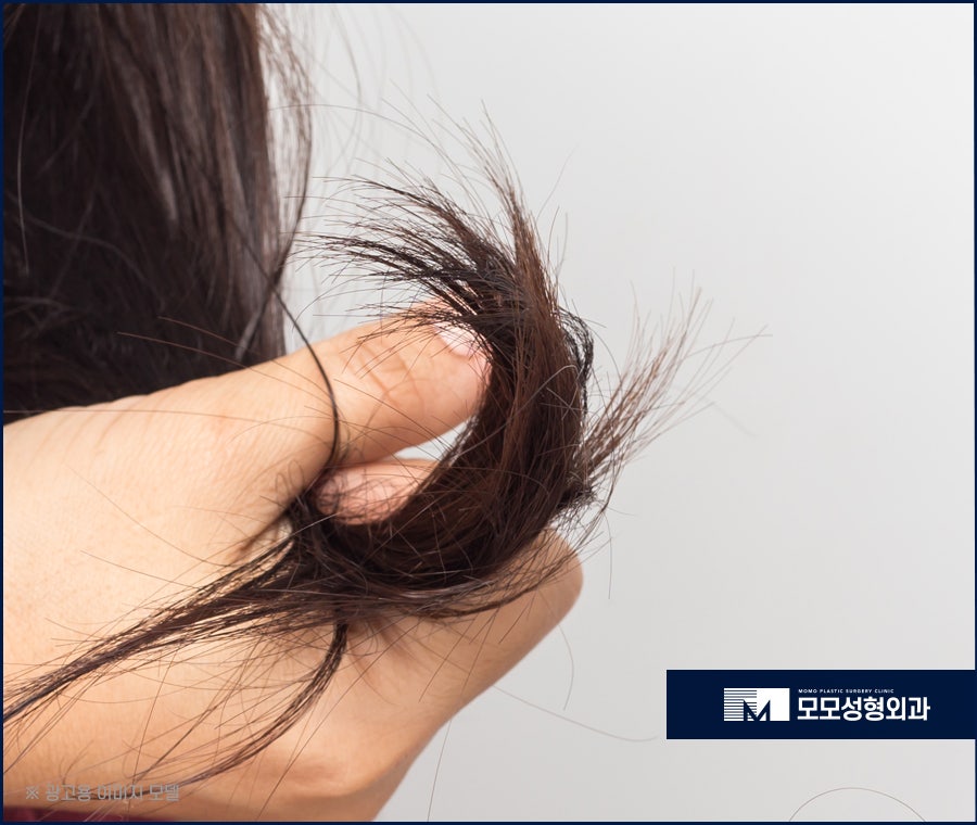 머리카락 끝 갈라짐 이유와 손상에 대처하는 방법까지 관련 이미지 7