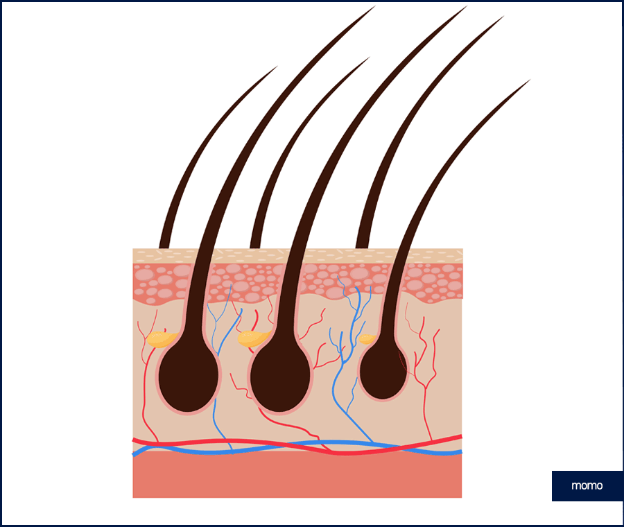 탈모약 처방 병원 꼼꼼한 진단하는 곳을 찾는다면 관련 이미지 6