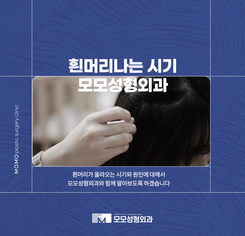 흰머리나는시기와 이유에 대해서 알아봅니다 관련 이미지 1